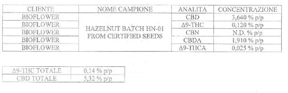 Hazelnut CBD